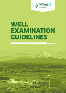 Well Examination Guidelines