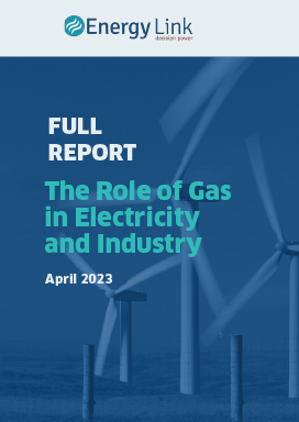 Energy Link Full Report