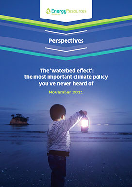 Perspectives - The waterbed effect: the most important climate policy you’ve never heard of - November 2021